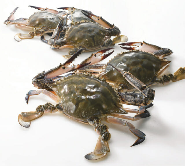 이마트도 꽃게 잔치…포인트 적립시 100g ‘788원’