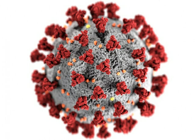 코로나19 환자, 2주 넘게 지속 증가 예상