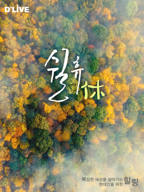 딜라이브TV, K-FAST채널로 글로벌 안방 ‘정조준’