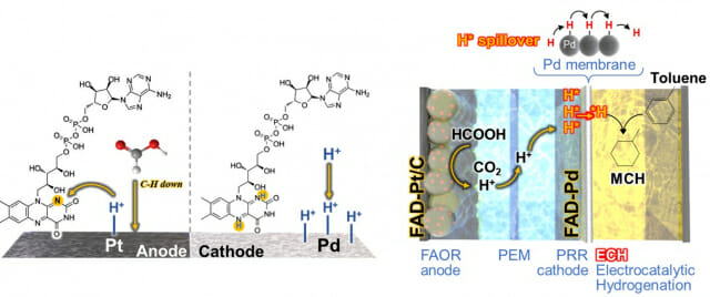 그린수소 생산 효율 65%, 셀 수명은 8배 ↑