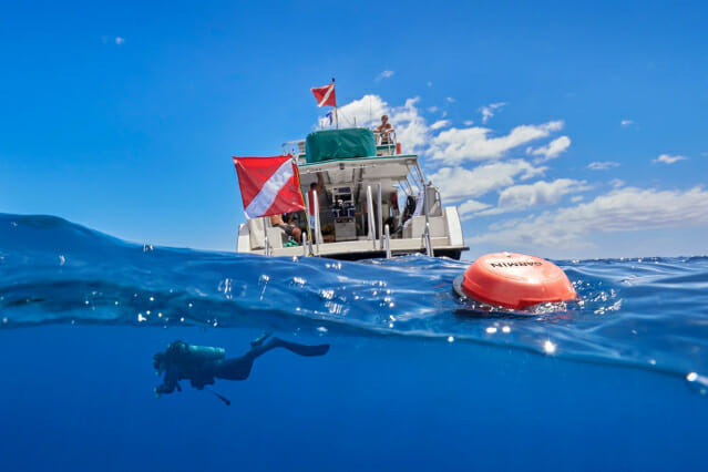 가민, ‘디센트 S1 다이버 통신 부표’ 출시