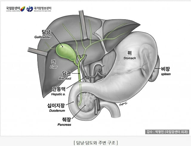 담도암 진행 늦출 항암요법 효과 확인