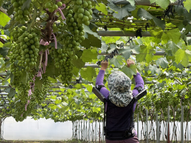 농업 현장에 ‘착용로봇’ 보급…현대차·기아, 농촌진흥청 협약