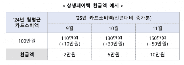 작년보다 카드 적게 썼다면, ‘상생페이백’ 눈여겨보세요