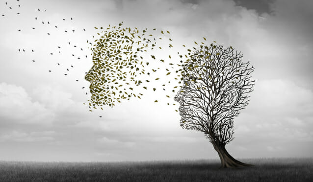 “기억은 레고처럼 조립된다”…법정 증언 주의해야 하는 이유