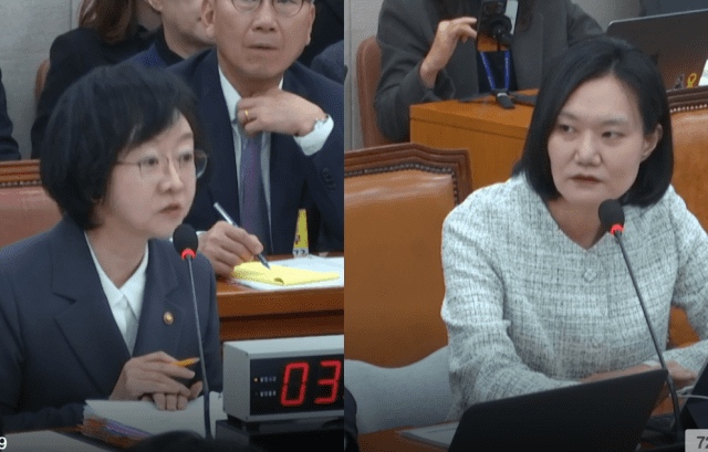 국내 상륙 日‘메이드 카페’ 청소년 출입 가능하지만 사실상 유흥업소