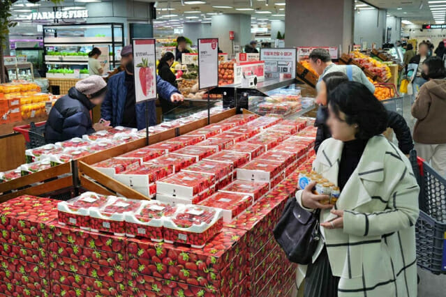 “이제 딸기 시즌”…롯데마트, 팩 딸기 전품목 할인