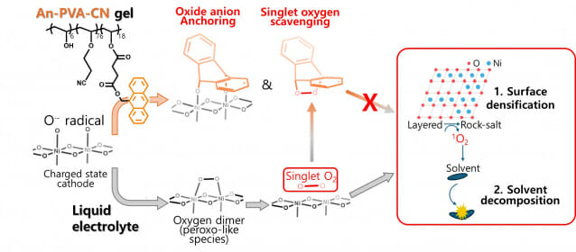 젤로 만든 전해질이 전기차 배터리 수명 2.8배↑