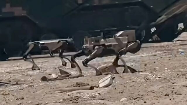 [영상] 中 ‘로봇 개’, 대만 상륙작전 훈련에 투입