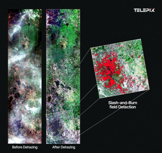 텔레픽스 “태국 산림 60일만에 여의도 면적 14배 사라져”