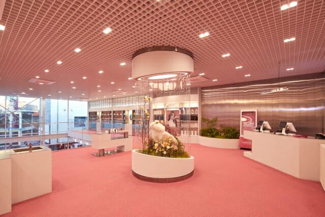 에이피알, 세번째 플래그십스토어 ‘메디큐브 성수’ 열어