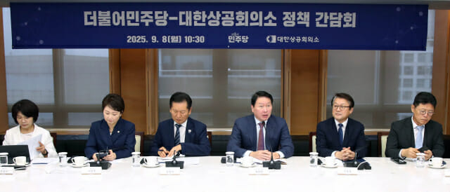 대한상의, 민주당 지도부와 간담회…RE100 산단 등 논의