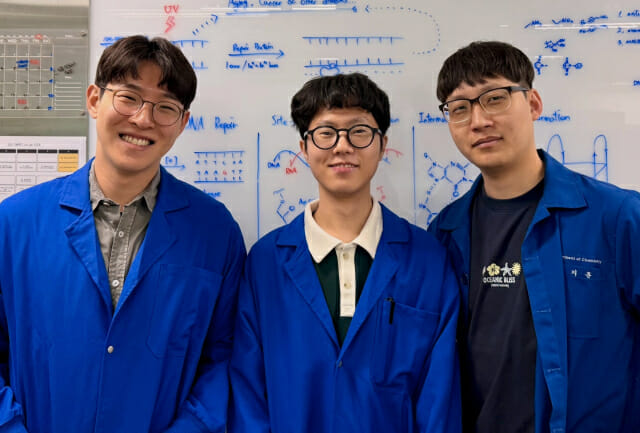 손상된 DNA 조각에 mRNA 붙였더니…혈전 등 문제 원천 해결