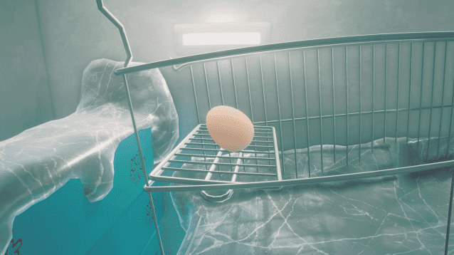 “따뜻한 이불 속 힐링”…엑스박스 게임 패스, 겨울 추천작 8선