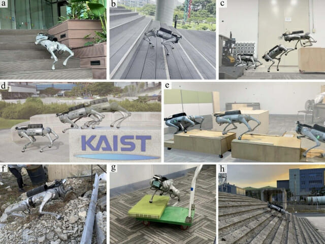 장애물 대응 “사람처럼”…4족보행로봇 상용 제어기 선보여