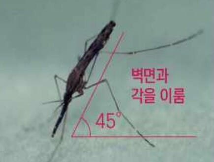 전국에 말라리아 ‘경보’…연휴 습도 올라 ‘모기’ 주의